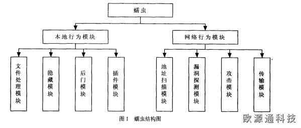 主動(dòng)蠕蟲的基本結(jié)構(gòu)和傳播過程