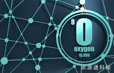 編碼是什么？